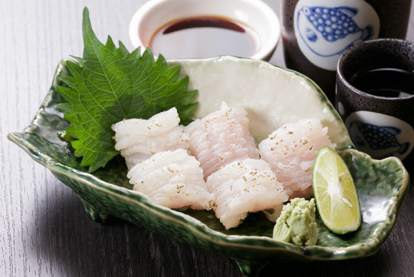 天然活〆鱧焼霜造り