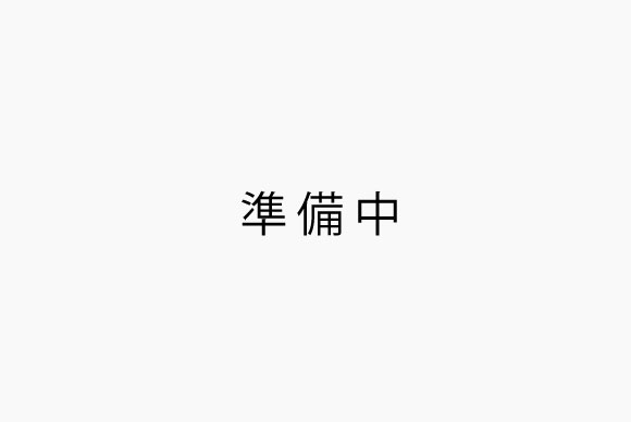 雑炊セット